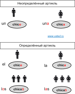 Испанский язык: Артикль Испанский язык: Артикль